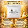 LD Carlson Yeast Nutrient | Yeast Energizer