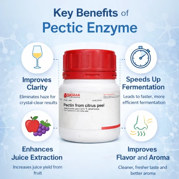 Pectic Enzyme for Wine Making – Premium Fruit Enzyme for Clear Wine, Juice & Cider Fermentation