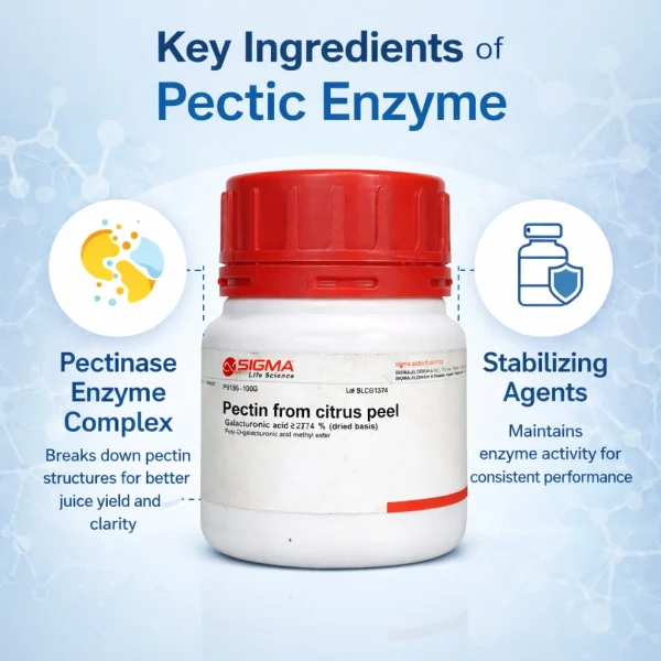 Pectic Enzyme for Wine Making – Premium Fruit Enzyme for Clear Wine, Juice & Cider Fermentation